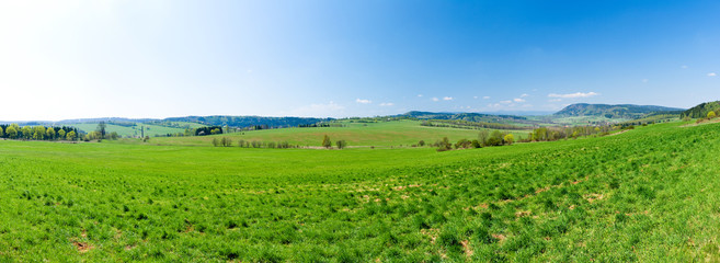Fototapeta na wymiar Fresh green panorama during the spring