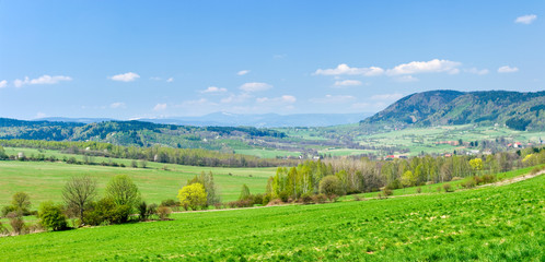 Green scene in the hills