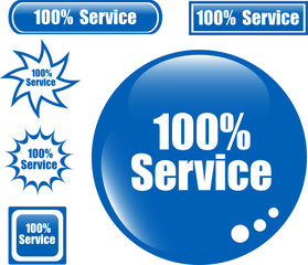 SERVICE 100% Web Button