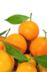 tangerines