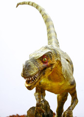 Naklejka premium Ornitholestes dinosaur na bielu