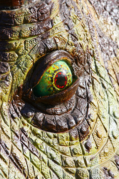 Dinosaur eye