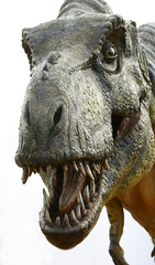 Naklejka premium Dinozaur Tyrannosaurus rex na białym tle