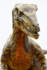 Fototapeta premium Dinozaur Deinonychus