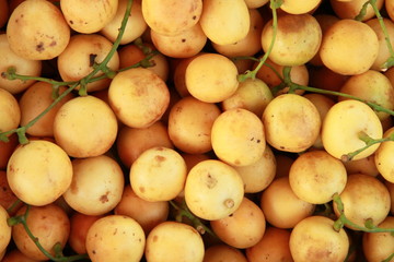 Burmese grape ,Thai native fruit