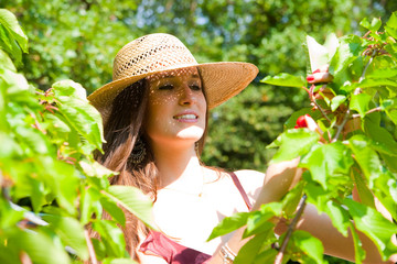 cueillette des cerises