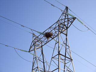 A stork nest on an electricity pylon