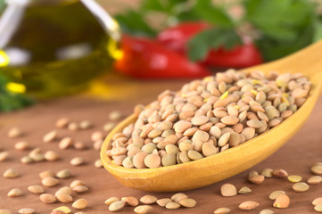 Raw lentils (lat. Lens culinaris) on wooden spoon