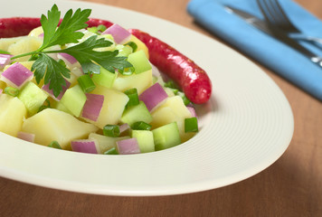 Potato salad with cucumber, red and green onions