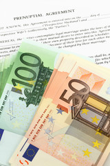 Form of prenuptial agreement with euro money