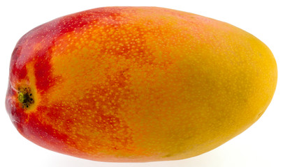 Obraz premium mangue mûre