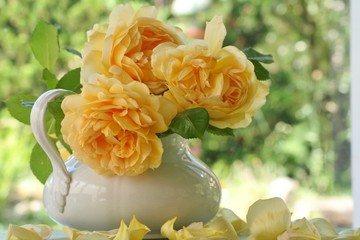 Trois roses jaune fond nature