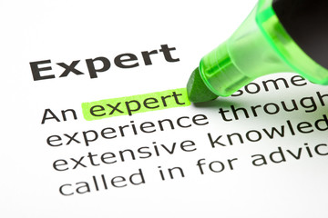 Dictionary definition of the word Expert highlighted in green