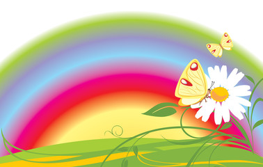 Fototapeta na wymiar Chamomile and butterflies on the background of rainbow