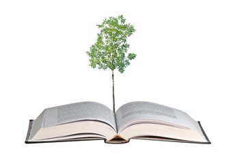 tree growing from book