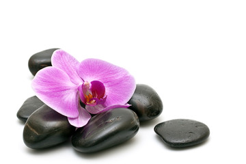 Pink orchid and zen Stones on a white background