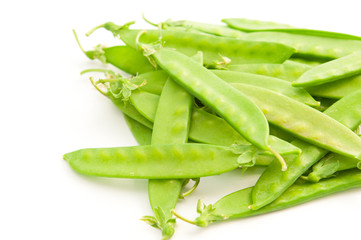 収穫したサヤエンドウ