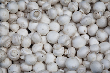 Mushroom Background on Market Stall