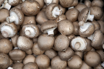 Mushroom Background on Market Stall