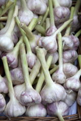 Garlic for sale on market stall