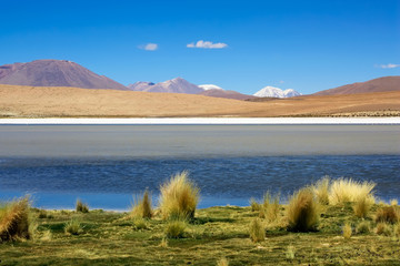 Laguna colorada, Bolivia