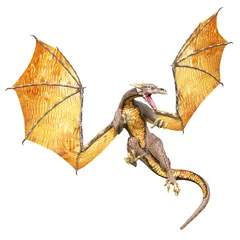 Tuinposter Draken drakenaanval vliegt weg