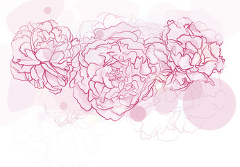 peonies floral background