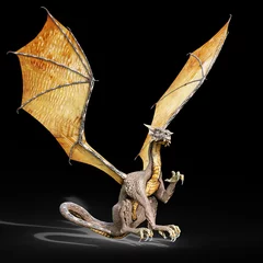 Papier Peint photo autocollant Dragons attaque de dragon fond noir