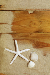 Starfish and shells on wood
