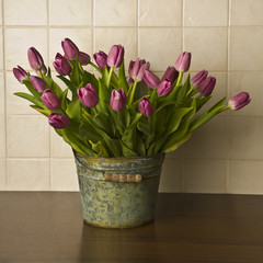 Bukiet tulipanów w wiadrze © Justyna Kaminska