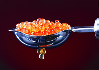 Red caviar © vizafoto
