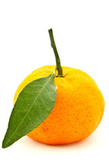 Orange on white background