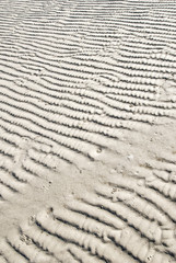 Fototapeta na wymiar Sand ripples on seashore