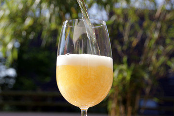 beer