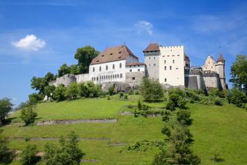 Obraz na płótnie Canvas Lenzburg zamek