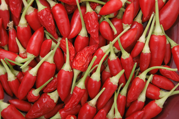 spice (chili) background