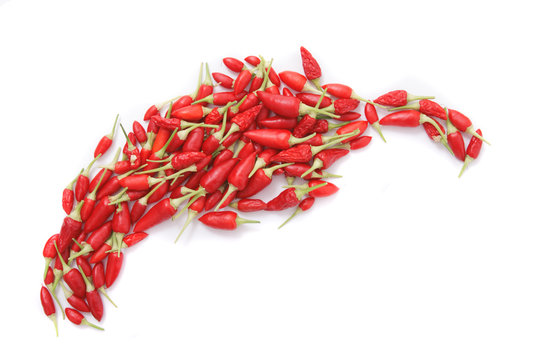 spice (chili) background