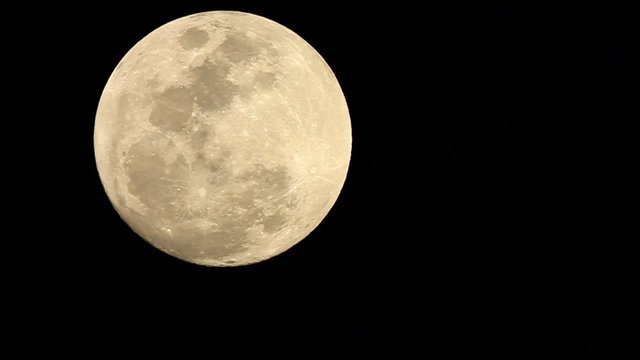 luna fimato
