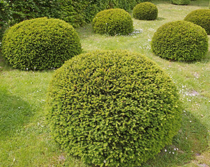 Gartengestaltung