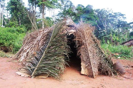 hutte pygm&eacute;e cameroun