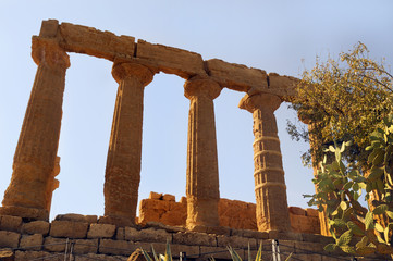 Fototapeta premium The Temple of Juno Lacinia at Agricento in Sicily,Italy,Europe