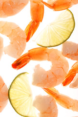 shrimps on the white