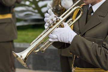Obraz premium Military musicians