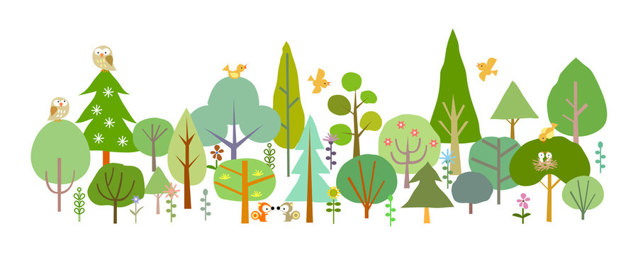 forest-D