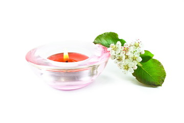 Zapach  062 © weglowskirobert