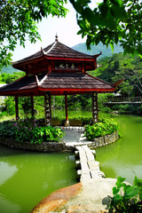 chinese pond