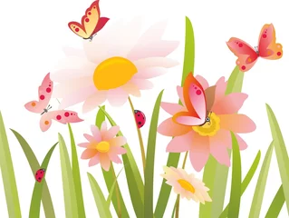 Poster Vlinders bloemen en vlinder in vector