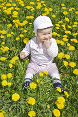 Fototapeta premium Baby sitting in meadow with dandelions