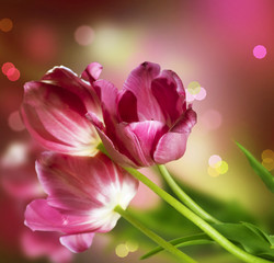 Obraz premium Flowers. Anniversary Card Design