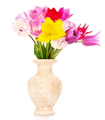 Tulips in vase isolated on white